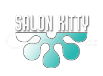 Salon Kitty Vienna