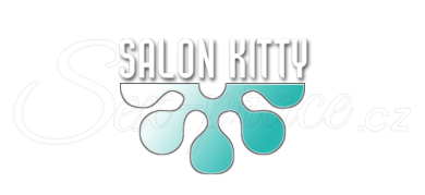Salon Kitty Vienna